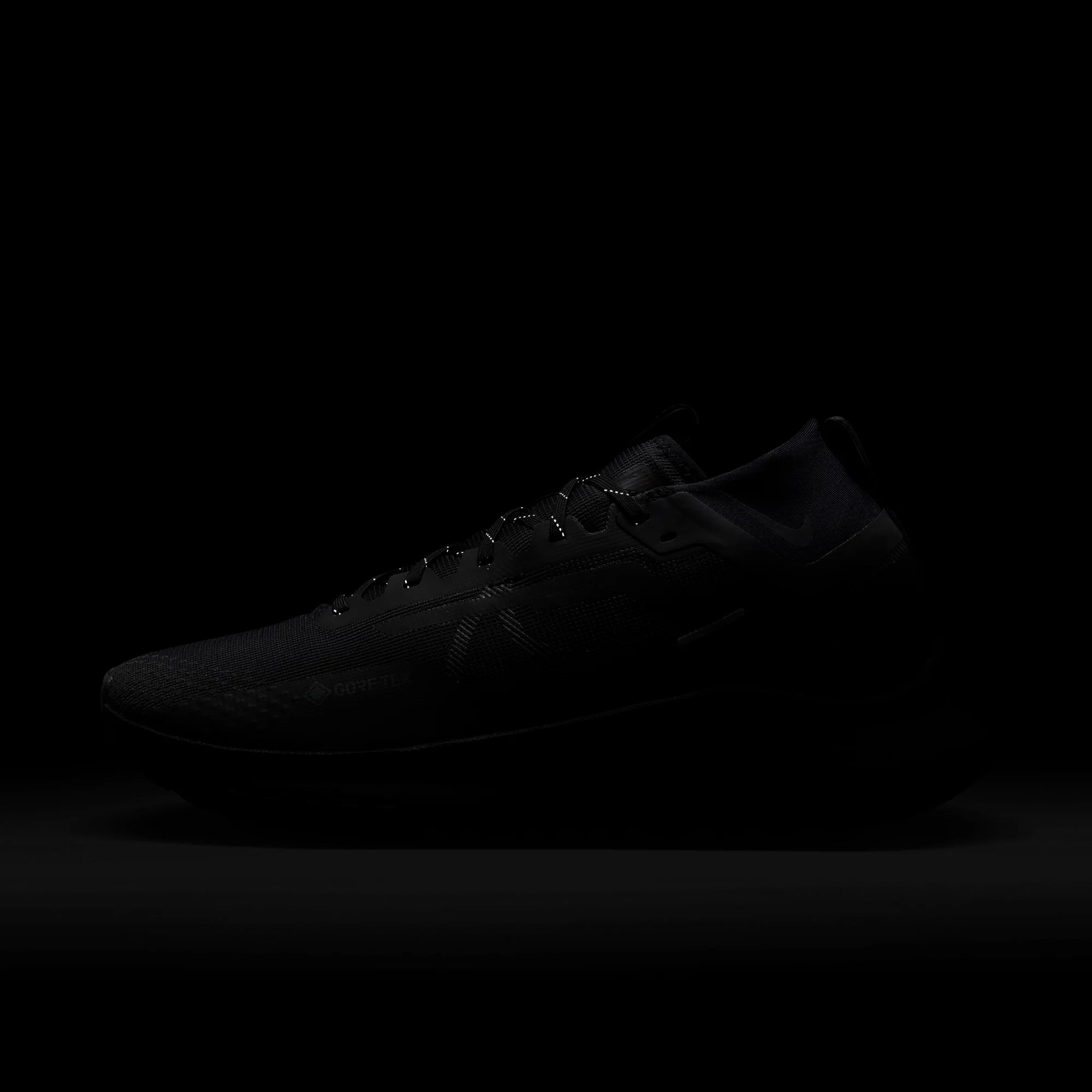 Nike Pegasus Trail 4 GORE-TEX