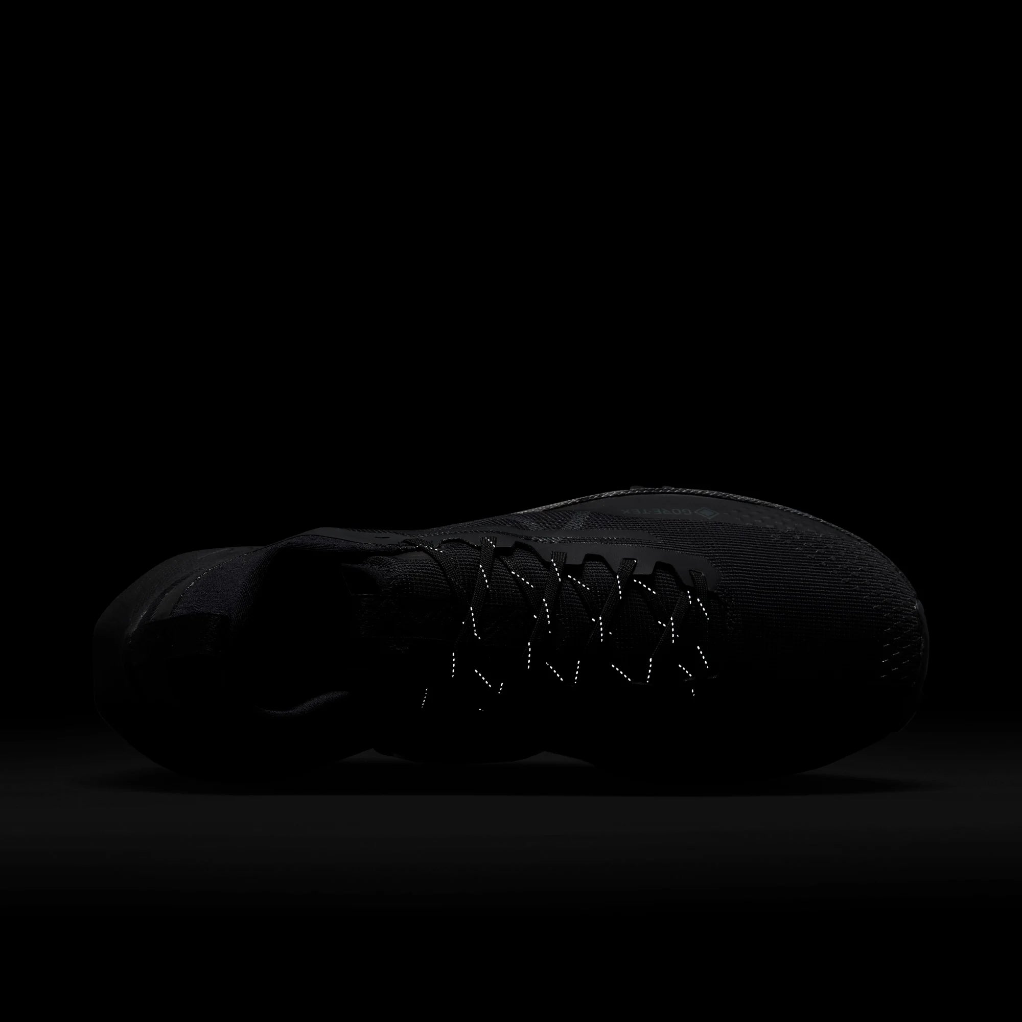 Nike Pegasus Trail 4 GORE-TEX